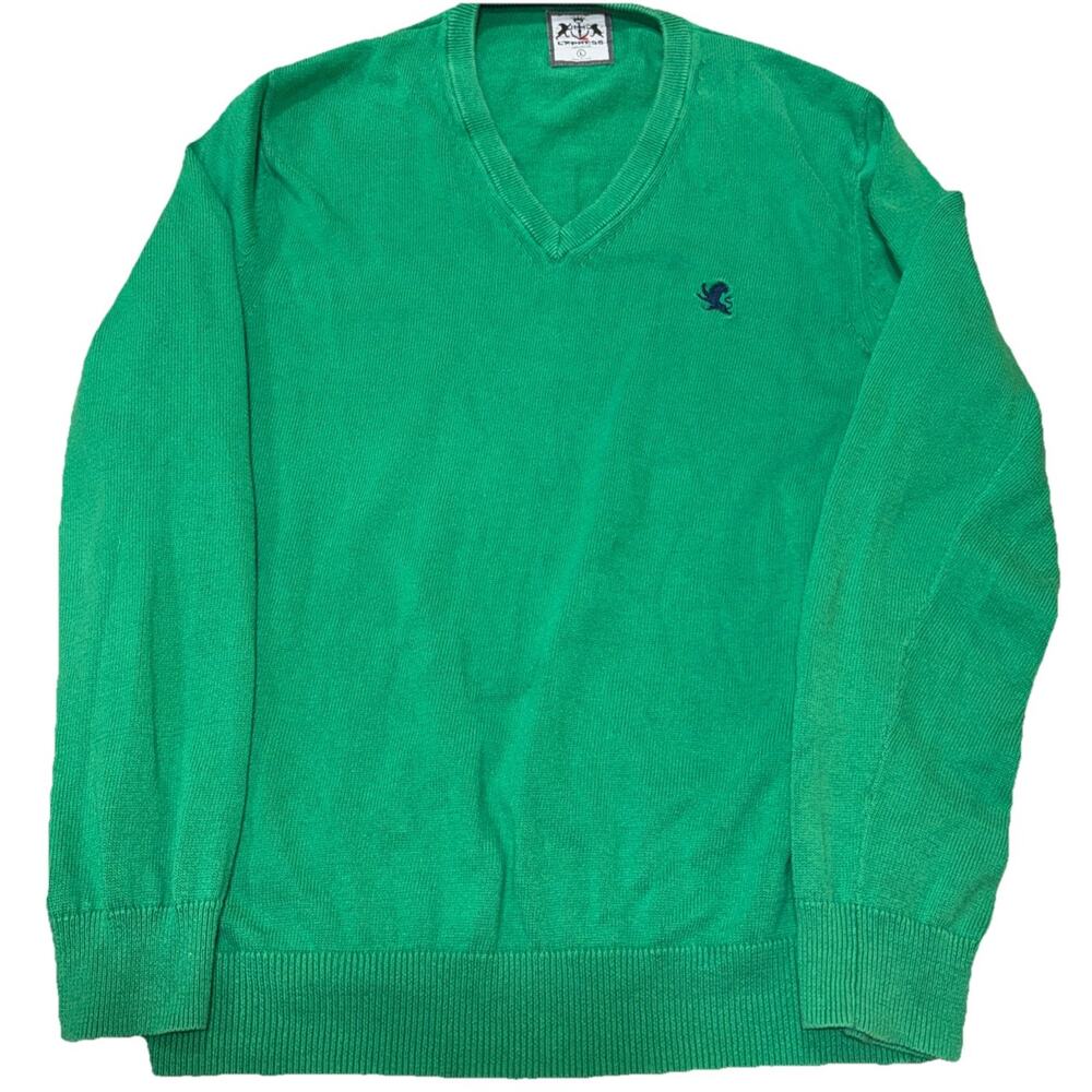 Express Men’s Green V-Neck Sweater Large Lightweight Knit Pullover